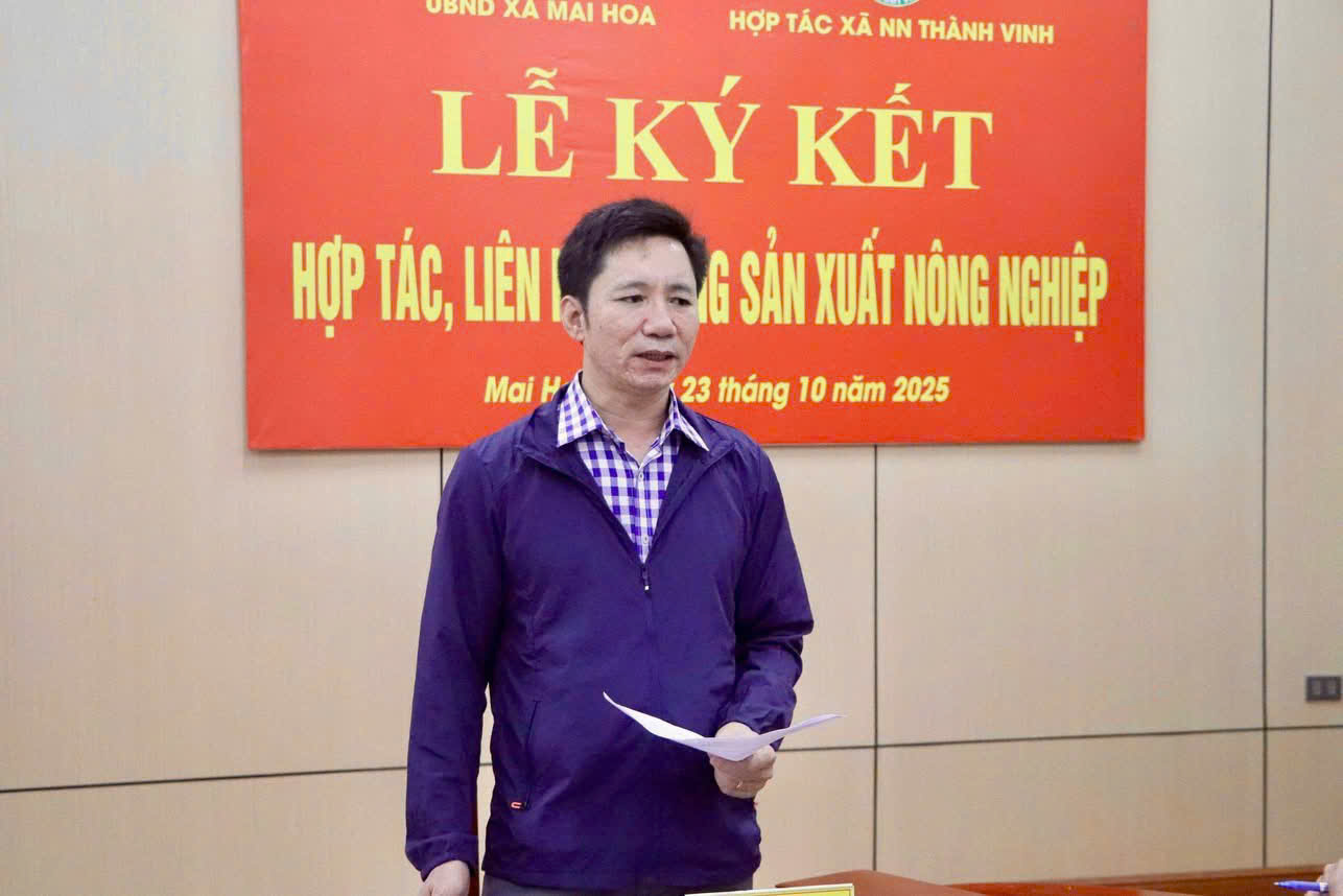 XÃ MAI HOA LÀM VIỆC VỚI HTX NÔNG NGHIỆP THÀNH VINH TRIỂN KHAI TRỒNG NGÔ NGỌT, BÍ ĐỎ, DƯA CHUỘT