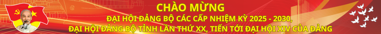 Banner 1