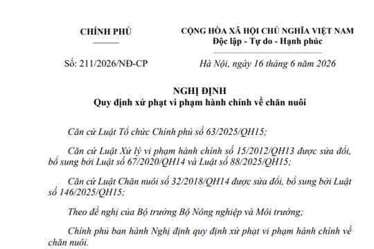 Chính phủ vừa ban hành nghị định Số: 211/2026/NĐ-CP Quy định xử phạt vi phạm hành chính về chăn nuôi