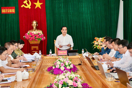 BCH Đảng bộ xã Mai Hoa đánh giá tình hình kinh tế - xã hội, quốc phòng – an ninh 9 tháng đầu năm 2026