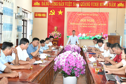 Mai Hoa mở rộng liên kết sản xuất bí xanh vụ Đông năm 2026