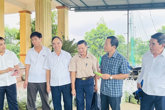 Đoàn nguyên cán bộ lãnh đạo huyện Vũ Quang, Đức Thọ qua các thời kỳ tham quan mô hình kinh tế, xây dựng nông thôn mới tại xã Mai Hoa