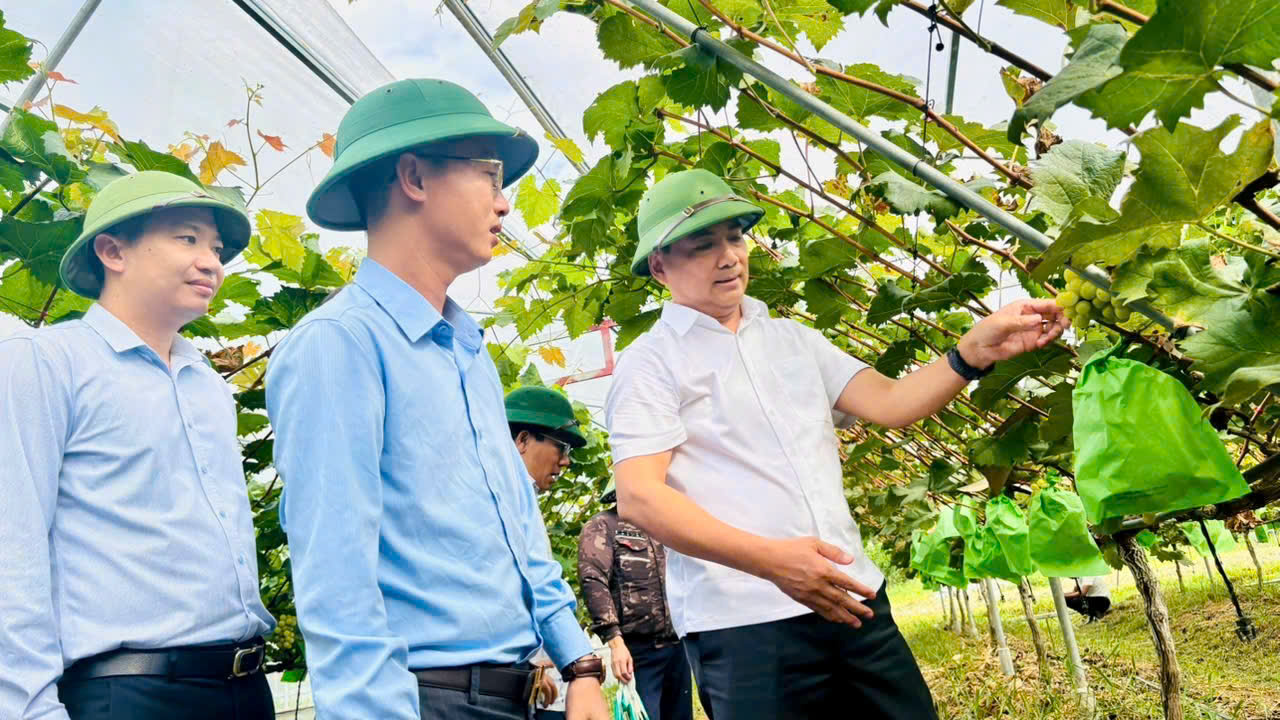 Bí thư Đảng ủy, Chủ tịch HĐND xã Lê Thanh Nghị kiểm tra các mô hình kinh tế trên địa bàn